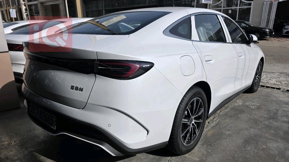 بي واي دي سيل 06 DM-i